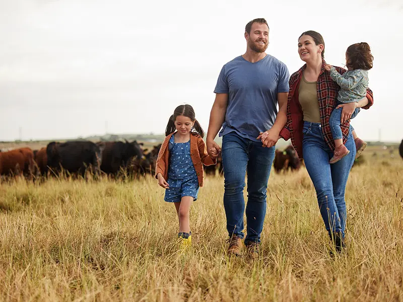 family in pasture with cows